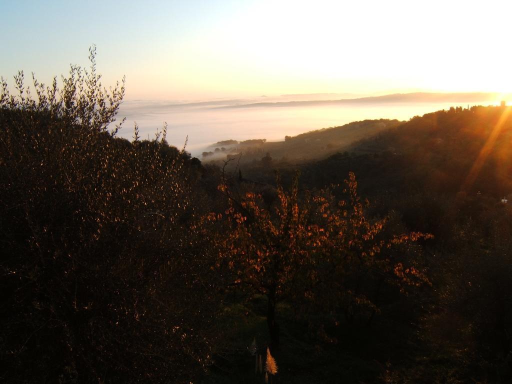 Villa Santa Maria Montalcino Esterno foto